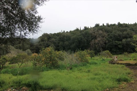 205000m² Land in Corfu, Greece No. 58216 12