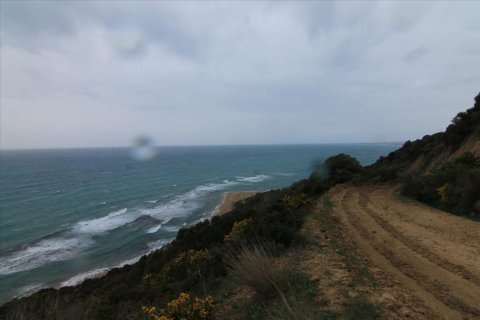 205000m² Land in Corfu, Greece No. 58216 26
