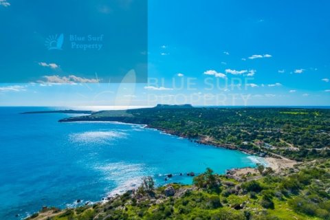 5 bedrooms Villa in Protaras, Cyprus No. 72477 8