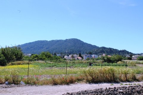 18755m² Land en Rhodes, Greece No. 59704 22