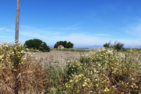 18755m² Land en Rhodes, Greece No. 59704 8