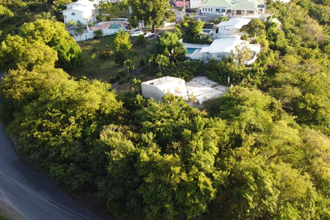 Land in Cedar Grove, Antigua and Barbuda No. 64985 3