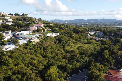 Land in Cedar Grove, Antigua and Barbuda No. 64985 6