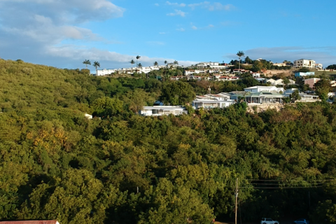 Land in Cedar Grove, Antigua and Barbuda No. 64985 10