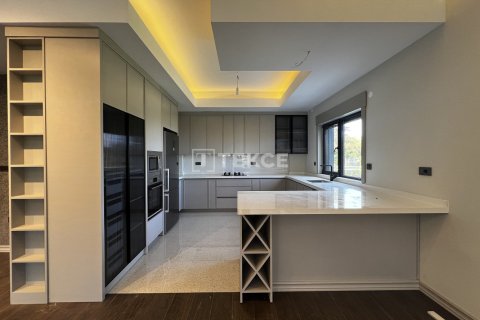 5 bedrooms Villa in Cao Bang, Vietnam No. 11308 11