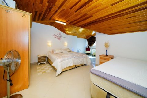 4 rooms Apartment in Chau Lang, Vietnam No. 21509 26