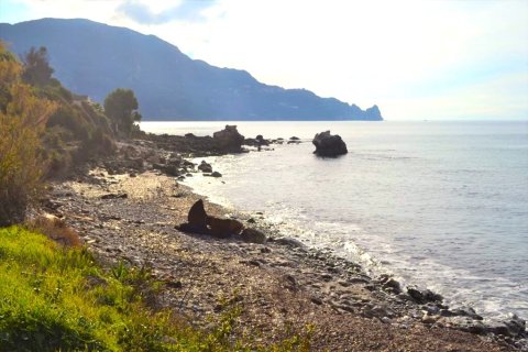 10959m² Land in Corfu, Greece No. 108447 3