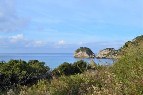 10959m² Land in Corfu, Greece No. 108447 5