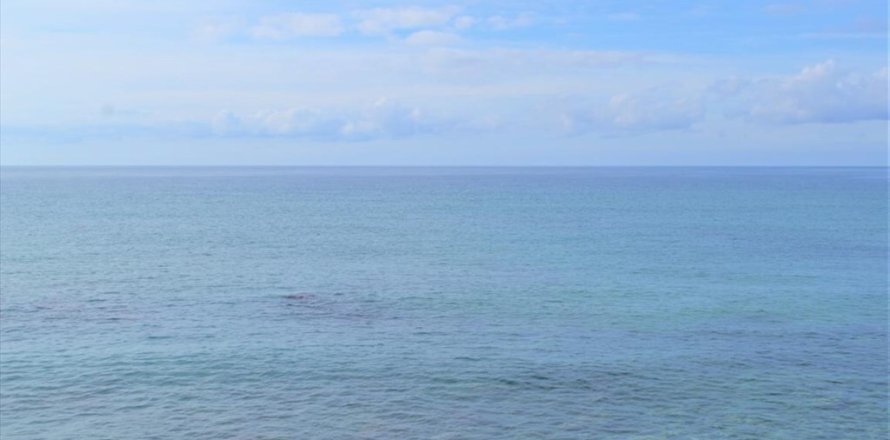 10959m² Land in Corfu, Greece No. 108447