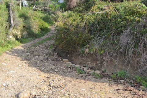 10959m² Land in Corfu, Greece No. 108447 6