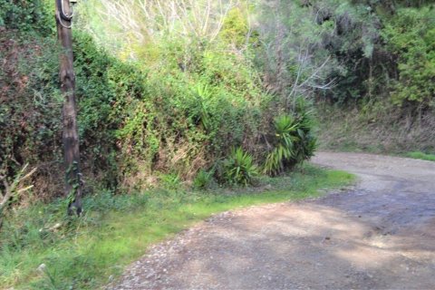 10959m² Land in Corfu, Greece No. 108447 15