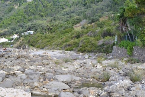 10959m² Land in Corfu, Greece No. 108447 9