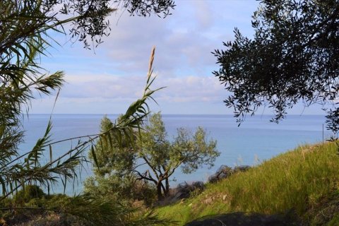 10959m² Land in Corfu, Greece No. 108447 13
