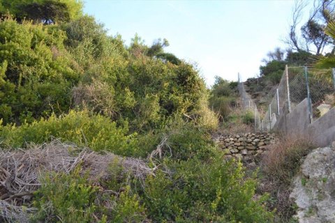 10959m² Land in Corfu, Greece No. 108447 7