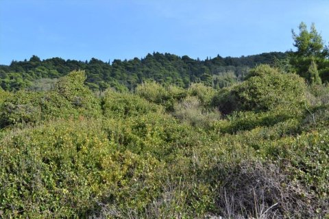 10959m² Land in Corfu, Greece No. 108447 8