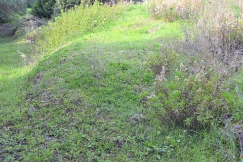 10959m² Land in Corfu, Greece No. 108447 16