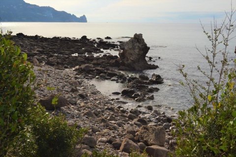 10959m² Land in Corfu, Greece No. 108447 12