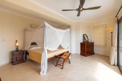 4 bedrooms Villa in Pegeia, Cyprus No. 30855 6