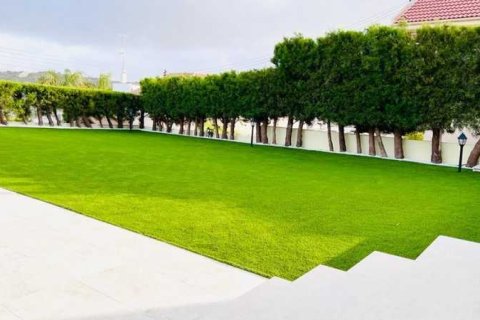 5 bedrooms Villa in Palodeia, Cyprus No. 84349 11