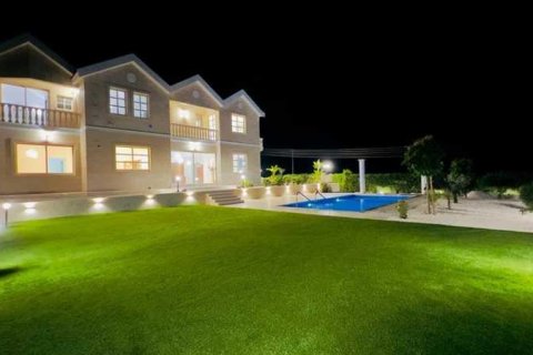 5 bedrooms Villa in Palodeia, Cyprus No. 84349 3