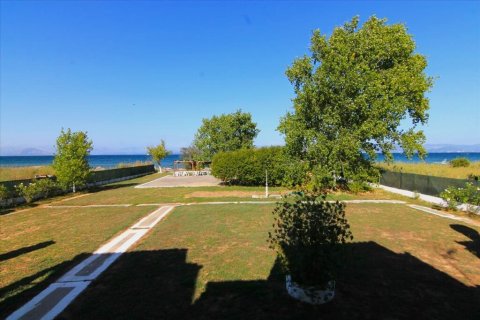 Отель, гостиница с 11 комнатами в Керкира, Греция №109651 14