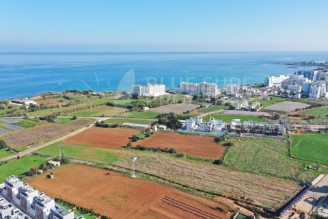 3 bedrooms Villa in Protaras, Cyprus No. 36543 25