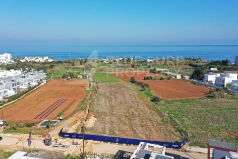 3 bedrooms Villa in Protaras, Cyprus No. 36543 24