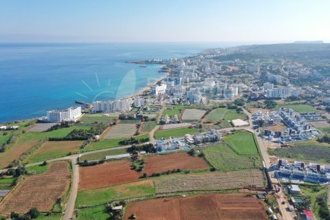 3 bedrooms Villa in Protaras, Cyprus No. 36543 26