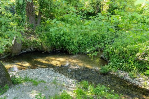 5 chambres Villa à Châteauneuf-Grasse, France No. 100256 10
