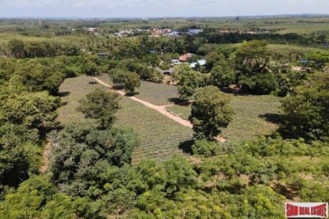 11200m² Land en Mai Khao, Thailand No. 95698 5