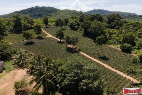 11200m² Land en Mai Khao, Thailand No. 95698 3