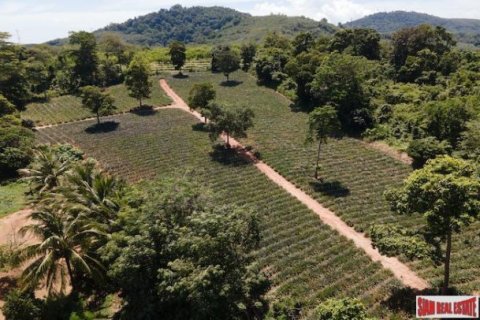 11200m² Land en Mai Khao, Thailand No. 95698 4