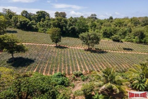 11200m² Land en Mai Khao, Thailand No. 95698 1