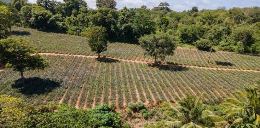 11200m² Land en Mai Khao, Thailand No. 95698