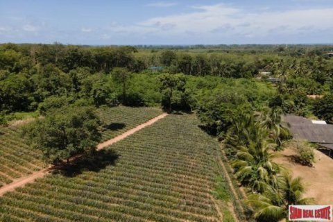 11200m² Land en Mai Khao, Thailand No. 95698 2