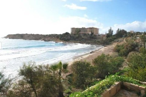 7 bedrooms House in Pegeia, Cyprus No. 100709 13