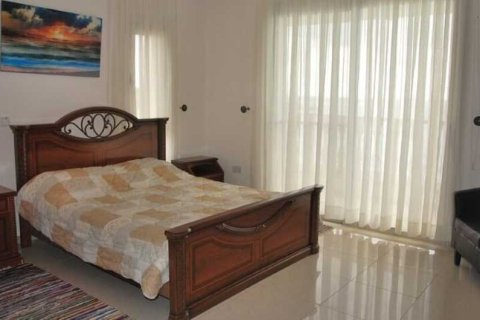 7 bedrooms House in Pegeia, Cyprus No. 100709 10