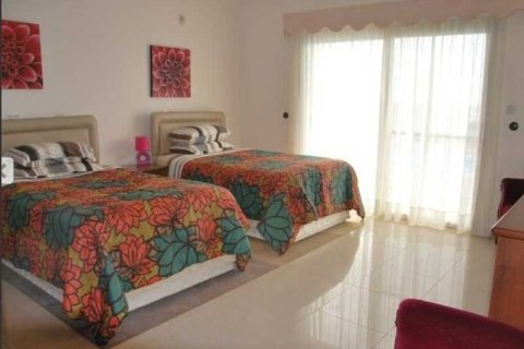 7 bedrooms House in Pegeia, Cyprus No. 100709 15