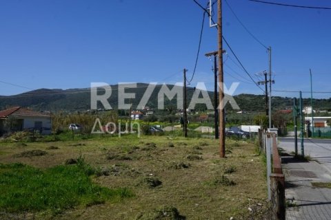946m² Land in Volos, Greece No. 84664 9