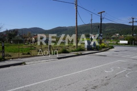 946m² Land in Volos, Greece No. 84664 7