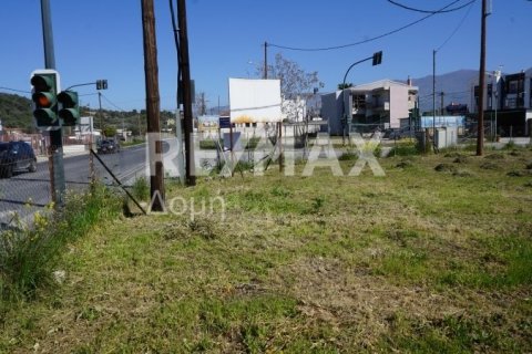 946m² Land in Volos, Greece No. 84664 8