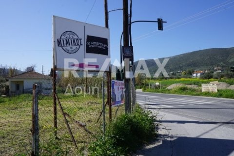 946m² Land in Volos, Greece No. 84664 2