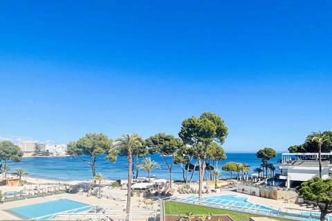 1 bedroom Apartment in Dak Sin, Vietnam No. 117556 1