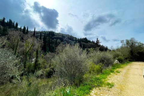 91445m² Land à Corfu, Greece No. 123641 15