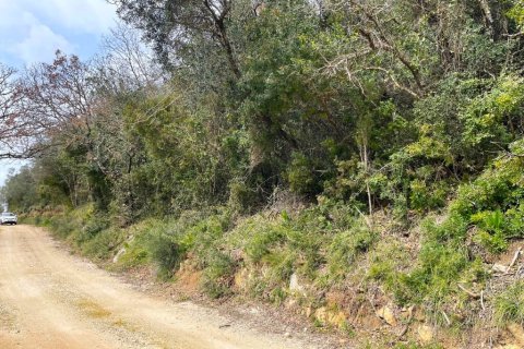 91445m² Land à Corfu, Greece No. 123641 14