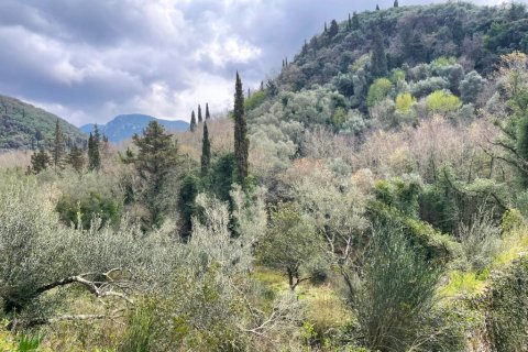 91445m² Land à Corfu, Greece No. 123641 6