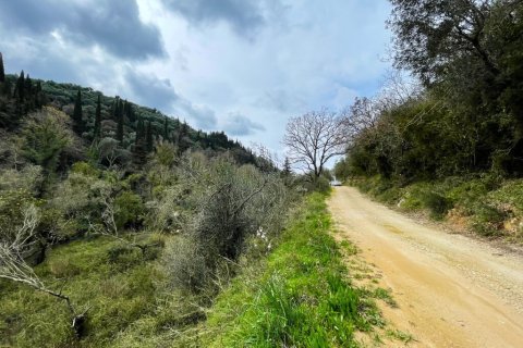 91445m² Land à Corfu, Greece No. 123641 13