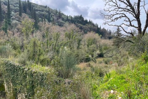 91445m² Land à Corfu, Greece No. 123641 8