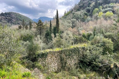 91445m² Land à Corfu, Greece No. 123641