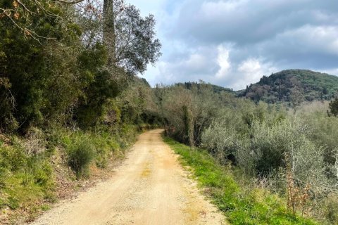 91445m² Land à Corfu, Greece No. 123641 5
